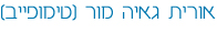 אורית גאיה מור